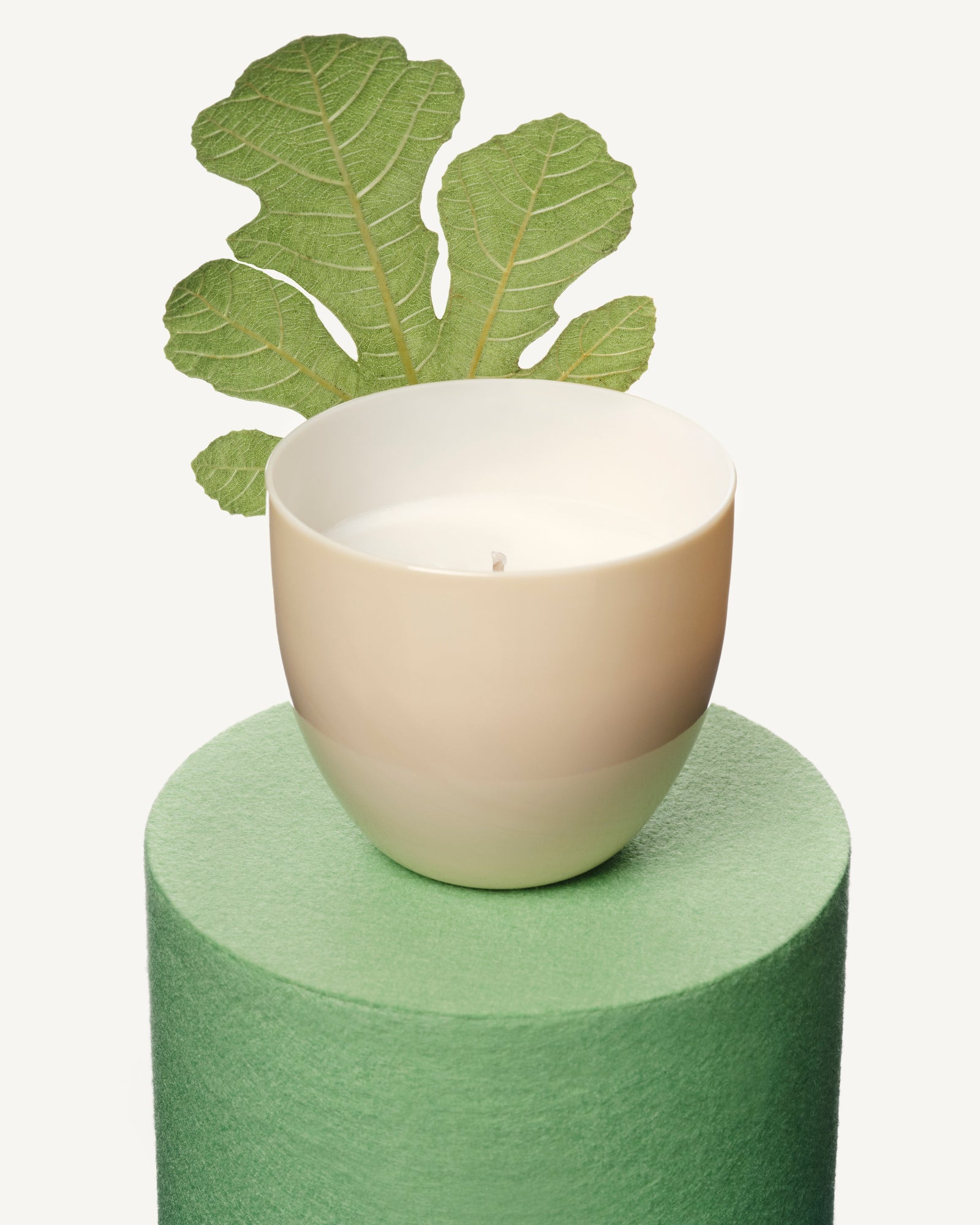 Fig Tree Candle – Espelma