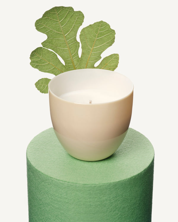 Fig Tree Candle