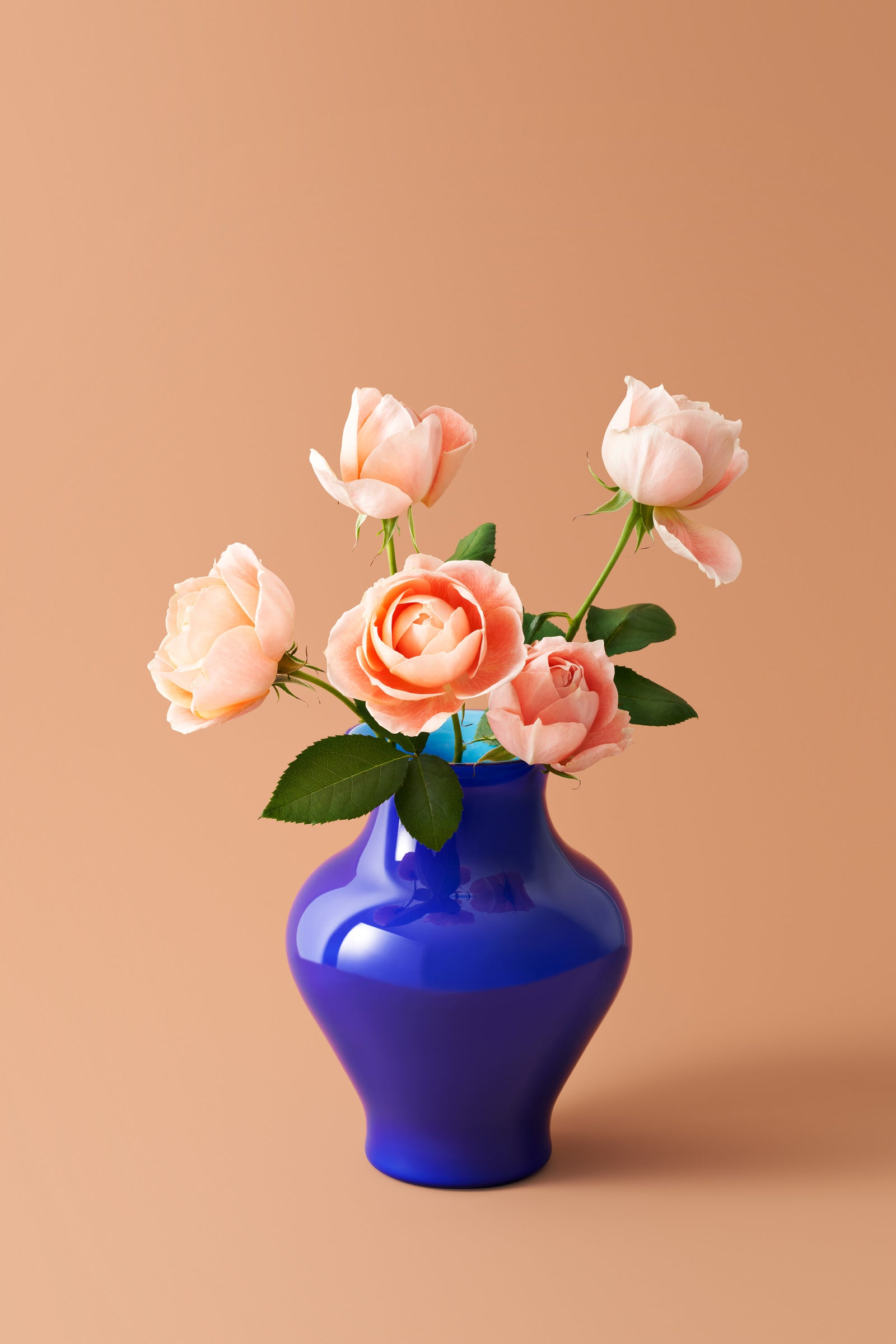 BlueVase_0020_1600x.jpg?v=